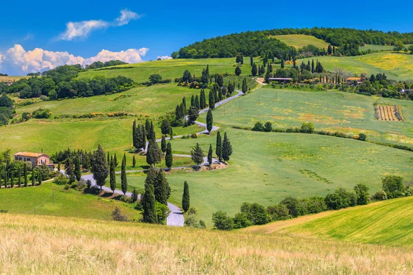 Destination Voyage Photographie Célèbre Toscane Fantastique Route Rurale Sinueuse Près — Photo