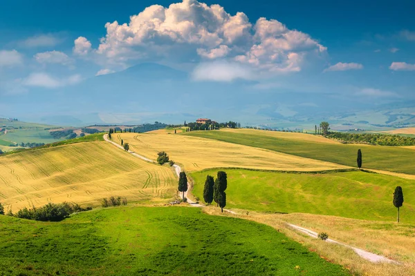 Весенний Сельскохозяйственный Ландшафт Тосканы Агротуризм Типичная Извилистая Дорога Кипарисом Недалеко — стоковое фото