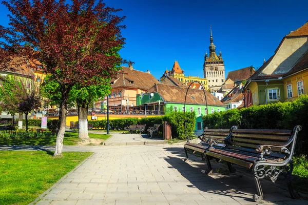 Beautiful Transylvanian Travel Destination Ornamental Garden City Center Walkway Benches — Stock Photo, Image