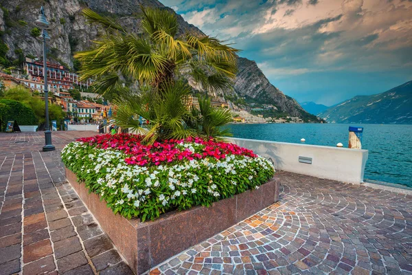 Fantastik tahta renkli Akdeniz çiçek ve palmiye ağaçları, Limone sul ile dekore edilmiş Garda, Lombardiya, İtalya, Avrupa