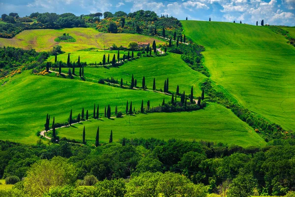 Maravilloso Destino Viajes Fotografía Toscana Famoso Camino Rural Sinuoso Cerca — Foto de Stock