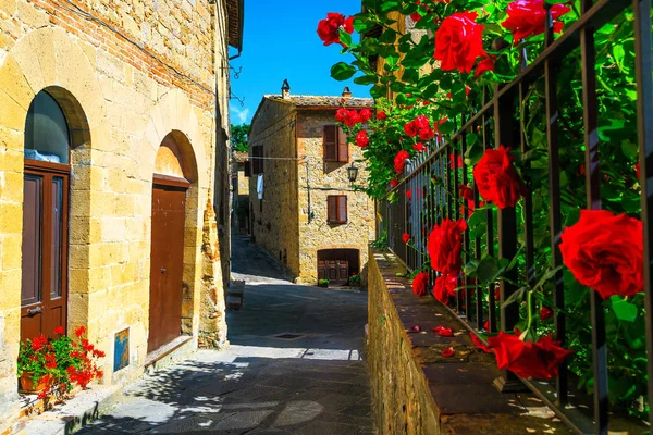 Prachtige Decoratieve Smalle Straat Met Bloemrijke Tuin Mooie Entree Oude — Stockfoto