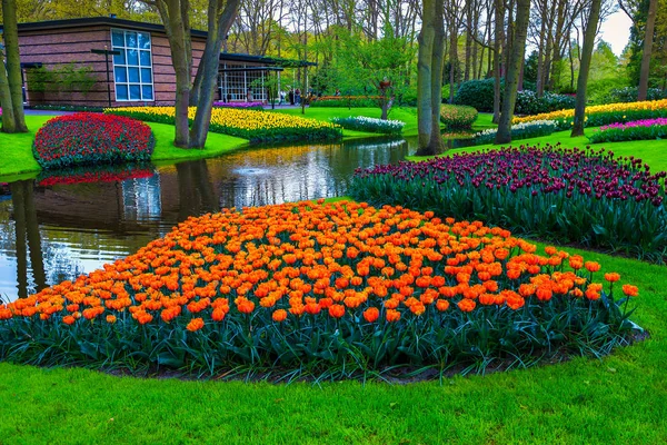 Fantástico Inesquecível Destino Viagem Lindas Flores Coloridas Primavera Com Estufa — Fotografia de Stock