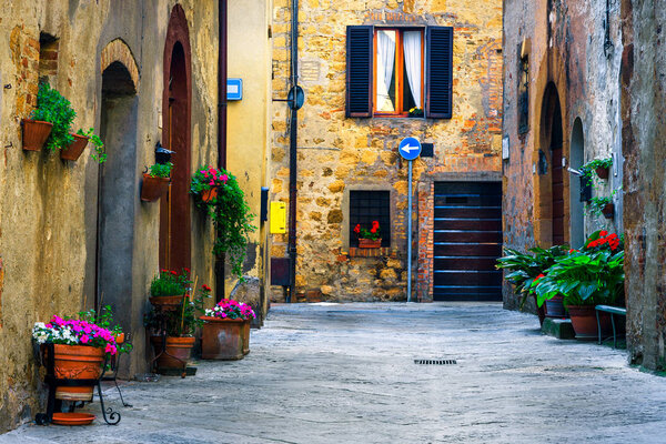 Amazing travel destination in Tuscany, rustic traditional decorated street with colorful flowers and rural stone houses, Pienza, Tuscany, Italy, Europe
