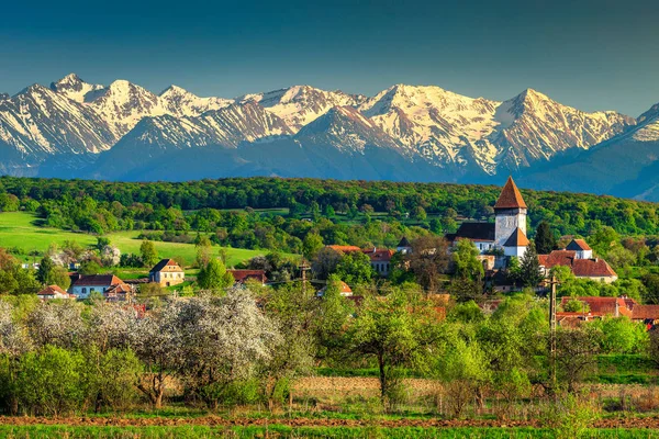 豪華な春の田舎の風景 ホスマン バック グラウンド シビウ地域ルーマニア トランシルバニア ヨーロッパで高い雪山フグラシ — ストック写真