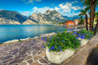 Nefes kesen mesire Akdeniz renkli çiçeklerle süslenmiş. Yüksek dağlar ve lake Garda, Torbole, İtalya, Europe ile muhteşem manzara