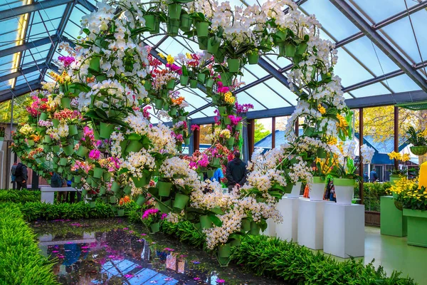 Mooie Toeristische Plek Amazing Bloem Tentoonstelling Met Kleurrijke Orchideeën Lentebloemen — Stockfoto