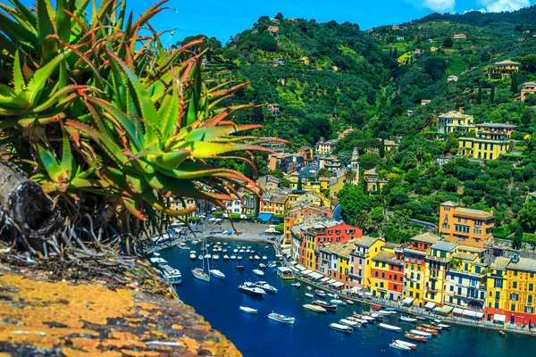 Majestosa Vista Castelo Brown Portofino Antiga Vila Piscatória Com Admiráveis — Fotografia de Stock