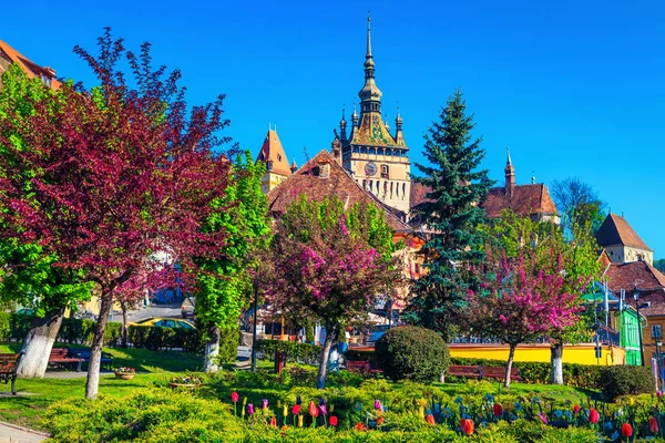 Maravilloso Parque Ciudad Ornamental Con Coloridos Tulipanes Frescos Árboles Con —  Fotos de Stock