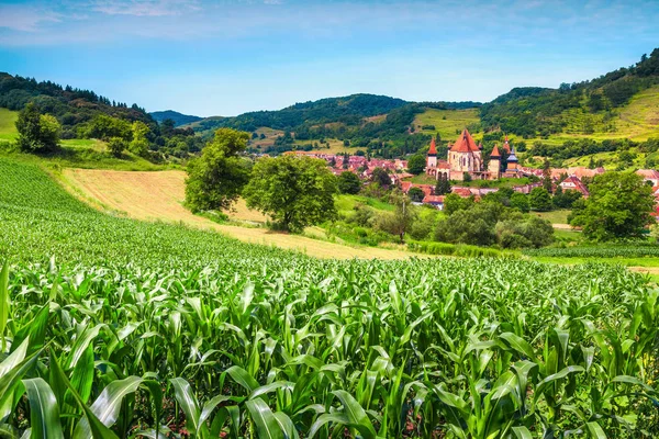 환상적인 대상입니다 옥수수 지역에 유명한 옥수수 Biertan Transylvania 루마니아 — 스톡 사진