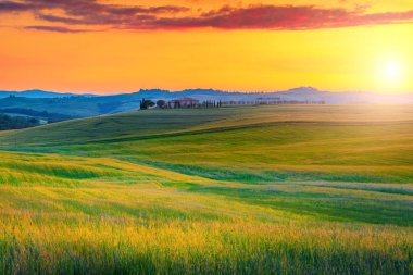 Şaşırtıcı Tuscany yatay, renkli günbatımı ve tahıl alanları, İtalya