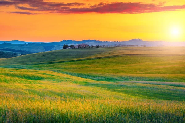 Increíble paisaje de Toscana con coloridos campos de atardecer y granos, Italia — Foto de Stock