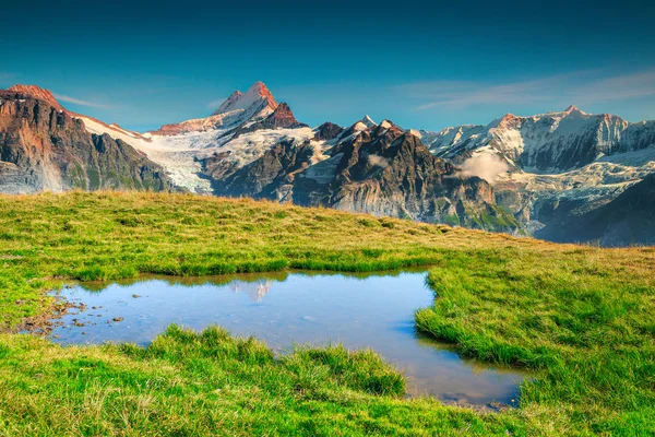Spectacular alpine lake and snowy mountains, Grindelwald, Switzerland, Europe — Stock Photo, Image
