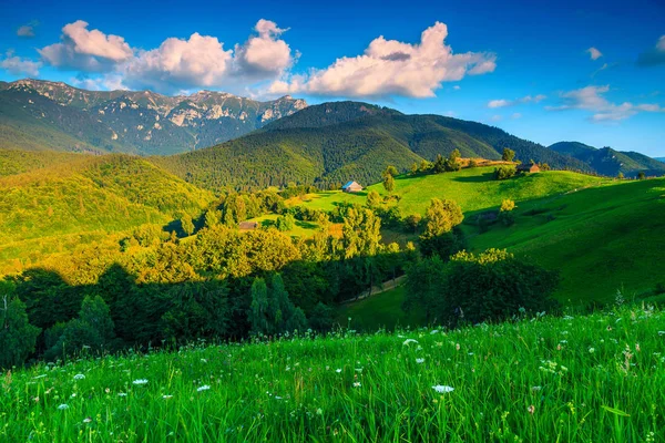 Paisagem rural de verão de tirar o fôlego perto de Bran, Transilvânia, Roménia, Europa — Fotografia de Stock