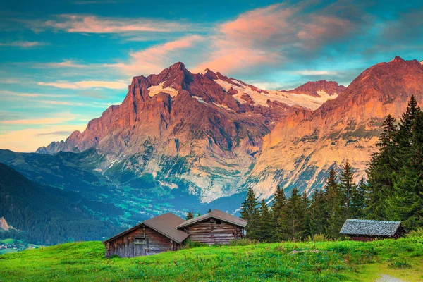 Úžasné letní alpská krajina s starých dřevěných chatách, Grindelwald, Švýcarsko — Stock fotografie