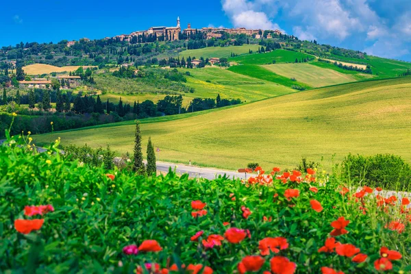 Espetacular paisagem urbana da Toscana e papoilas vermelhas em flor, Pienza, Itália, Europa — Fotografia de Stock