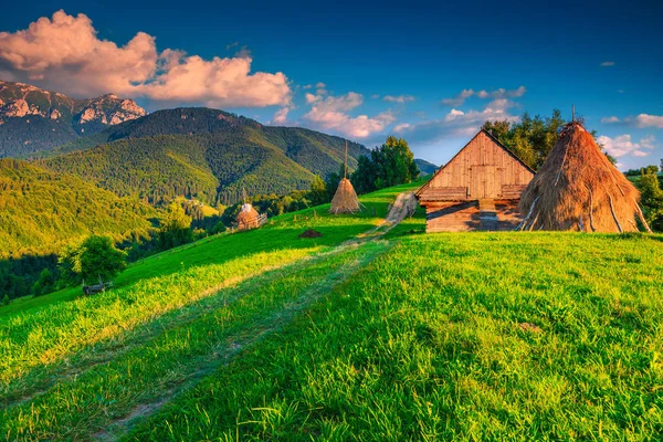 Sommar landsbygd landskap med höbalar, Brasov region, Transylvania, Rumänien — Stockfoto