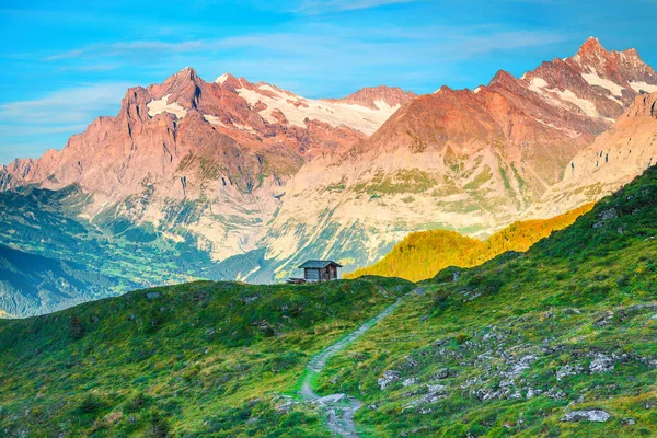 古い木造の小屋、グリンデルワルト、スイスとの素晴らしい夏のアルプスの風景 — ストック写真