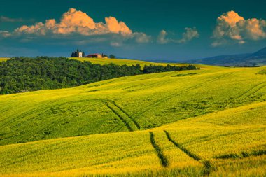  Pienza yakınlarındaki tepede Vitaleta şapeli, Toskana, İtalya, Avrupa
