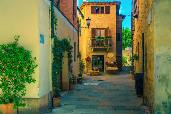 Rustic stone houses decorated with green plants, Pienza, Tuscany, Italy 