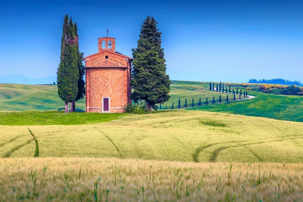 Rustikale Vitaleta-Kapelle und Getreidefelder im Sommer, Toskana, Italien — Stockfoto