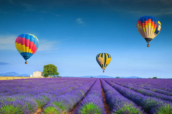 Admirables campos de lavanda violeta y coloridos globos de aire caliente, Francia — Foto de Stock