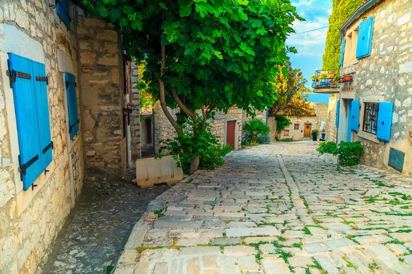 Prachtige oude Dorpsstraat met stenen huizen, Rovinj, Istrië, Kroatië — Stockfoto
