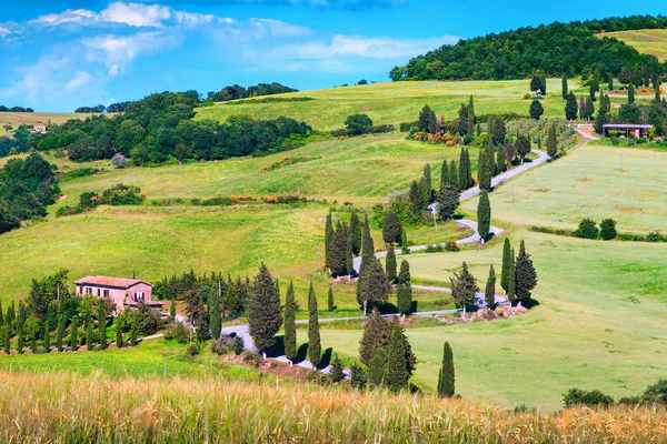 Spectaculaire kronkelende landelijke weg met cipressen in Toscane, Italië, Europa — Stockfoto