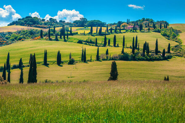 Живописная извилистая сельская дорога с кипарисами в Тоскане, Италия, Европа
 
