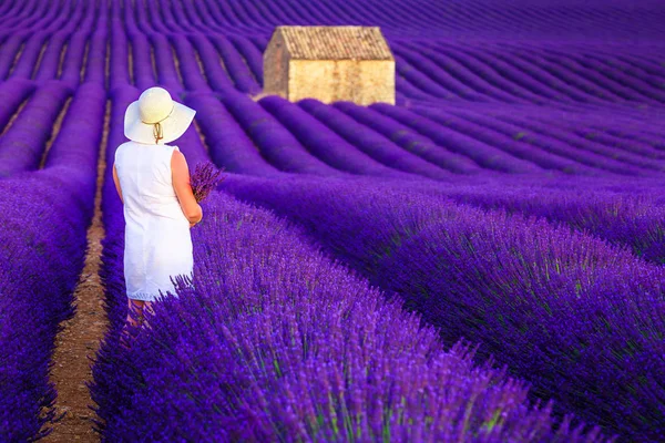 Mujer bonita disfrutando de la naturaleza en los campos de lavanda púrpura, Valensole, Francia — Foto de Stock