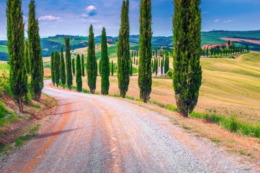 Tuscany landscape with curved rural road and grain fields, Italy clipart