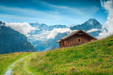 Arka planda karlı dağlar ile Alp yaz otlak, Grindelwald, İsviçre