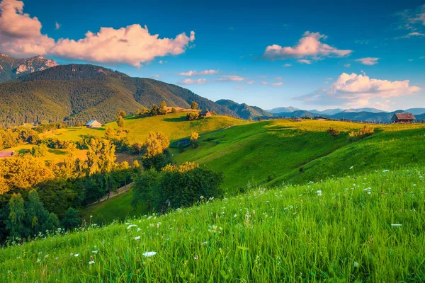 Letni wiejski krajobraz i drewniane chaty, w pobliżu Bran, Transylwania, Rumunia — Zdjęcie stockowe