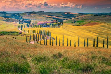 Kavisli kırsal yolu ile günbatımı pastoral Toskana manzara, Italya
