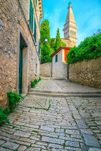 Prachtige middeleeuwse stad straat met oude kerk, Rovinj, Istrië, Kroatië — Stockfoto