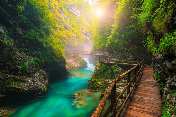 Rio Radovna turquesa no desfiladeiro de Vintgar e passarela de madeira, Eslovénia — Fotografia de Stock