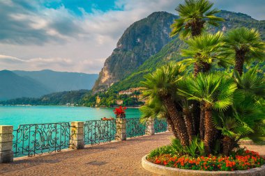Renkli çiçekler ve güzel gezinti, Como Gölü, Menaggio, Lombardiya, İtalya