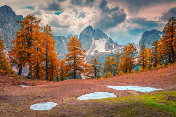 Maravilhosa paisagem de outono com larches de laranja em Julian Alps, Eslovênia — Fotografia de Stock