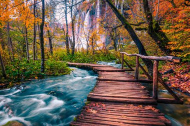Güzel turist yolu ormandaki renkli sonbahar, Plitvice Gölleri, Hırvatistan