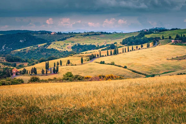 Enge kurvenreiche Landstraße mit Zypressen in der Toskana, Italien, Europa — Stockfoto