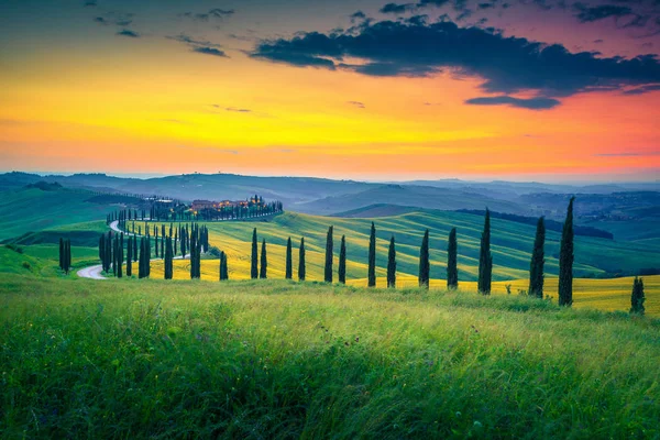 Maravilloso paisaje toscano con caminos curvos y cipreses, Italia —  Fotos de Stock