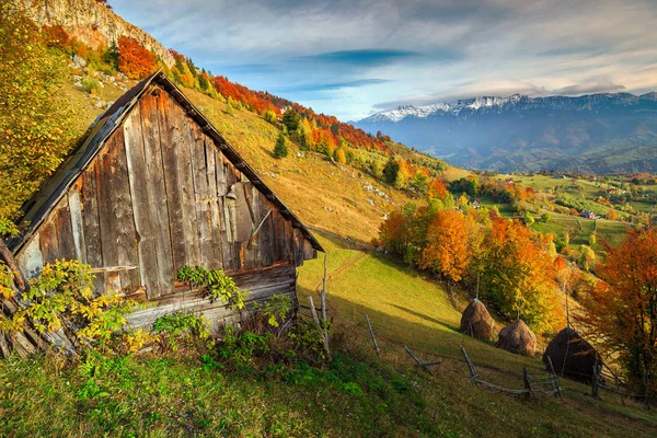 Magnifique paysage rural alpin d'automne près de Bran, Magura, Transylvanie, Roumanie — Photo