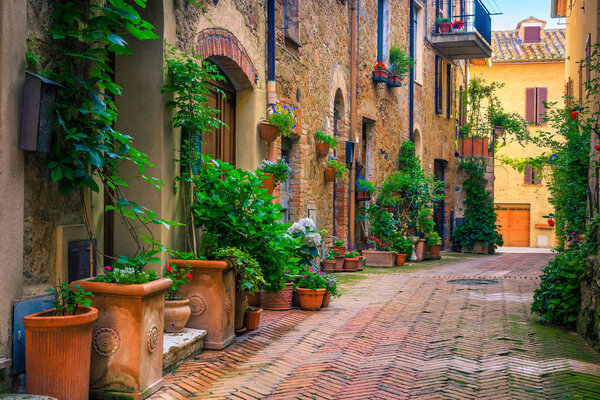Admirable traditional Tuscany street view. Spectacular medieval stone houses and narrow cute paved street with flowery entrances, Pienza, Tuscany, Italy, Europe