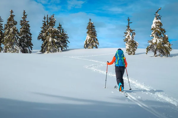 Passeio de esqui na neve fresca profunda, Transilvânia, Cárpatos, Roménia — Fotografia de Stock