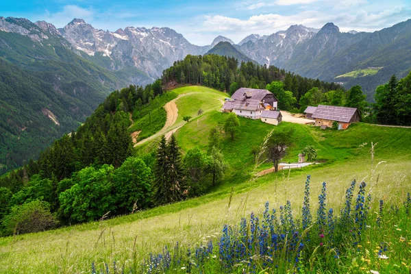 Slovenya 'nın Solcava panoramik yolundan Logar vadisi manzarası — Stok fotoğraf