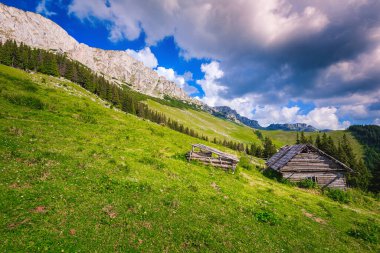 Tepe, Karpatlar, Transilvanya, Romanya ve Avrupa 'da dağları ve köhne ahşap kulübeleri olan yaz dağları manzarası