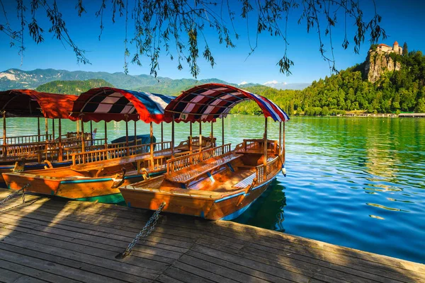 Traditional Touristic Wooden Pletna Boats Row Moored Pier Pletna Rowing — Stock Photo, Image