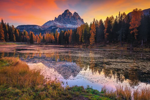 Spektakulärt Morgonlandskap Fjällsjö Och Gula Lärkor Vid Soluppgången Antorno Sjö — Stockfoto