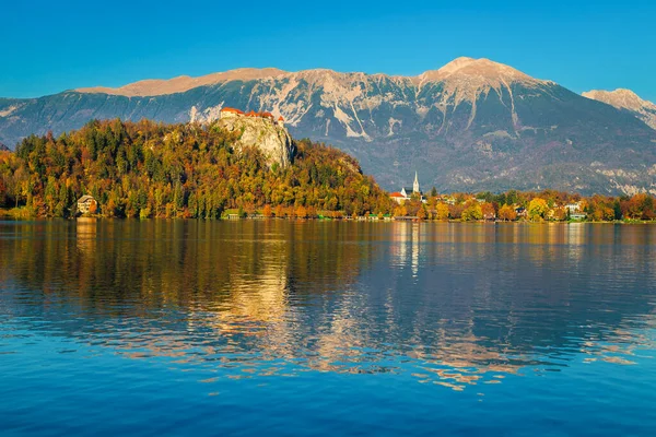 Majestosa Paisagem Outono Com Floresta Colorida Lago Bled Eslovênia Europa — Fotografia de Stock