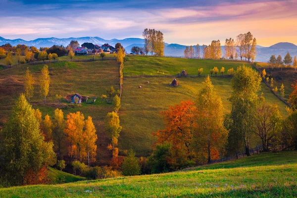 Cenário Rural Maravilhoso Outono Árvores Caducas Coloridas Nas Encostas Casas — Fotografia de Stock